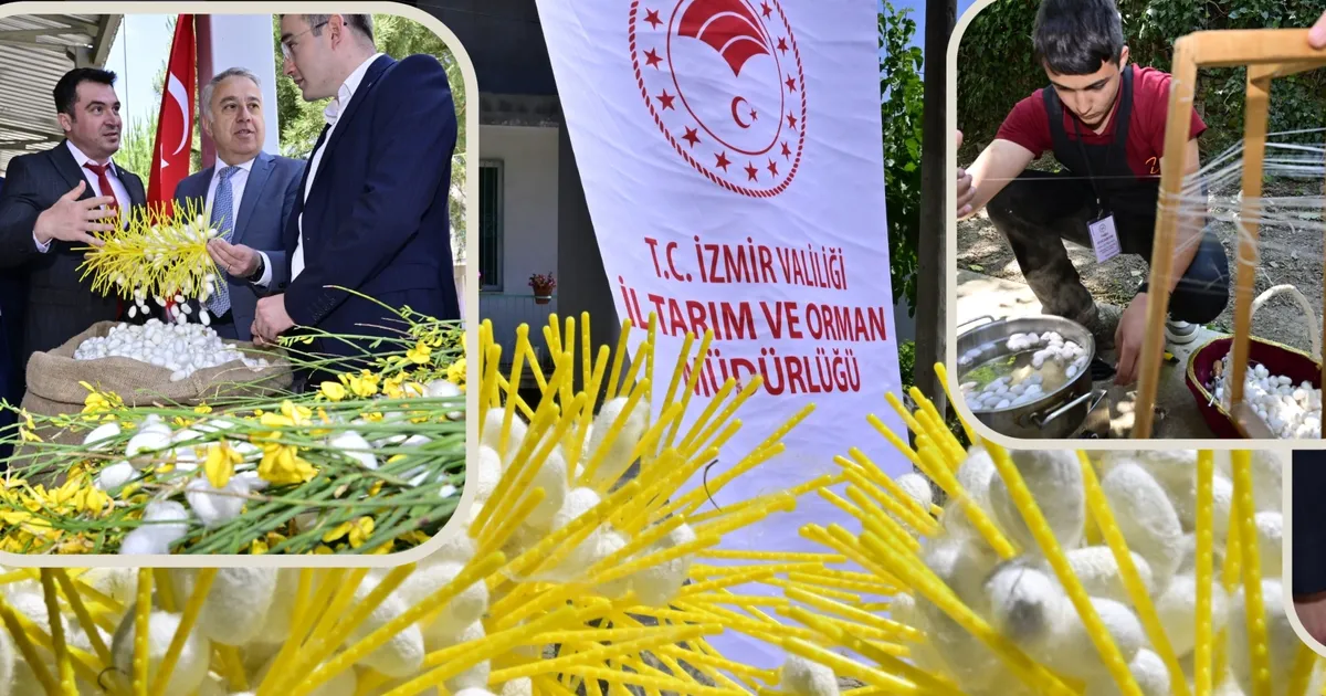 izmir-beydagda-koza-hasat-senligi-coskuyla-kutlandi-CakAhbxB.webp