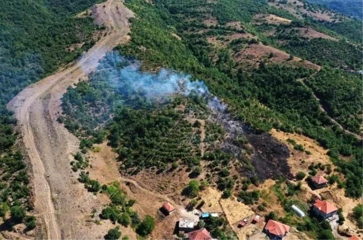 caycumada-orman-yangini-yerlesim-alanlarina-yaklasti-X8rOip49.jpg