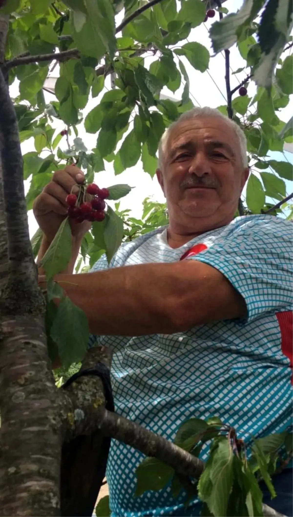 duzcede-elektrik-carpmasi-sonucu-bir-kisi-hayatini-kaybetti-YhWWzuGH.jpg
