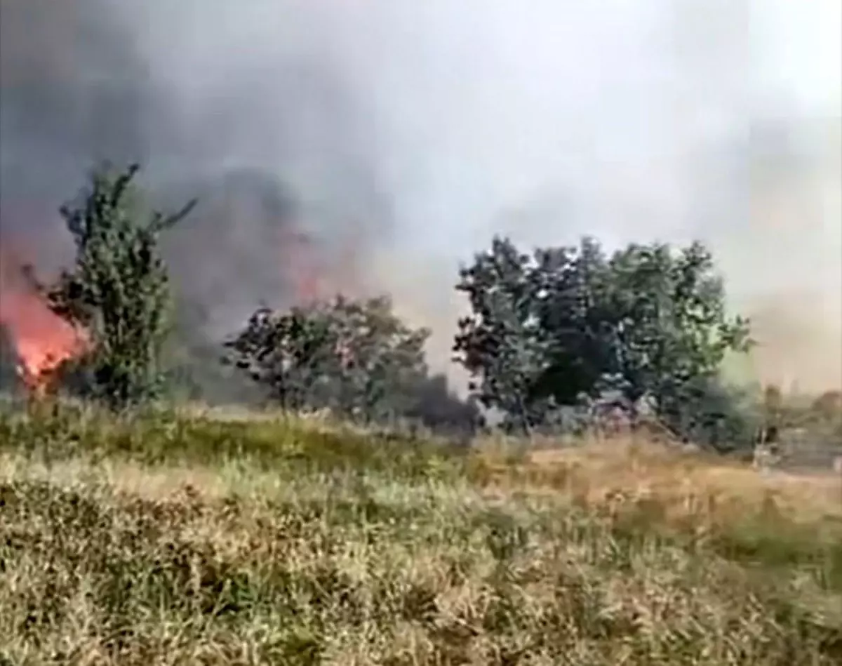 duzcede-orman-yangini-5-hektar-alan-kule-dondu-macgIZgU.jpg