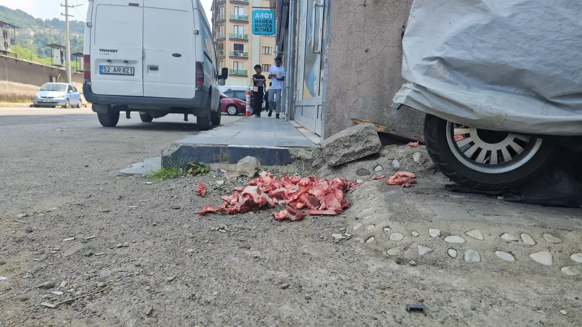 zonguldakta-kurban-etleri-sokak-ortasina-atildi-qVHlSyu6.jpg