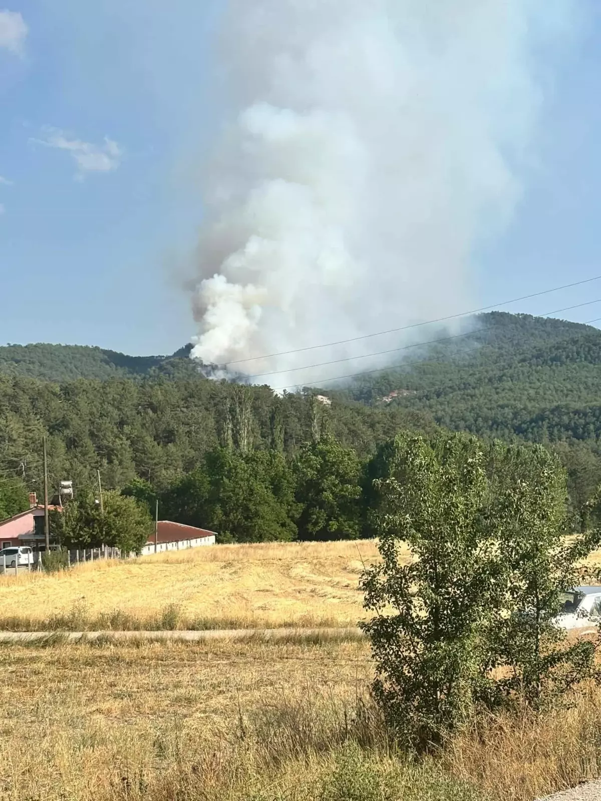 boluda-orman-yanginina-suratle-mudahale-ediliyor-xwx9NxL6.jpg
