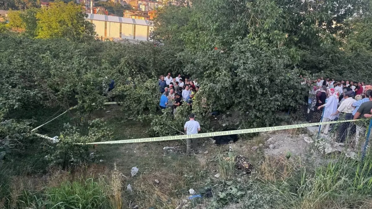 zonguldakta-denetimden-cikan-kamyonet-findik-bahcesine-uctu-sofor-hayatini-kaybetti-sGh6PATz.jpg