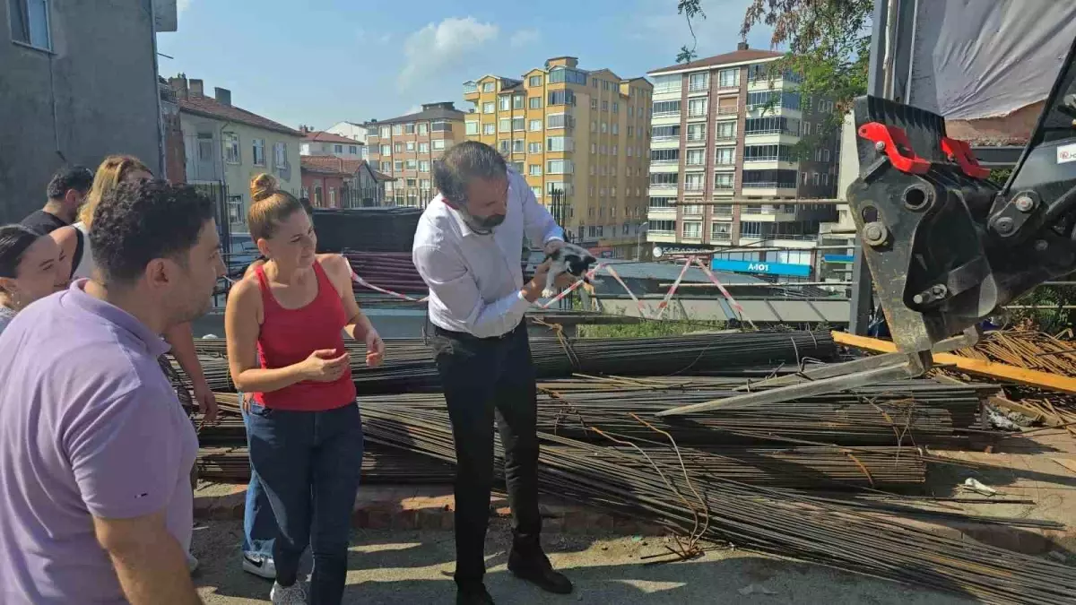 zonguldakta-yavru-kedi-insaat-demirlerinden-kurtarildi-Mxm3zqeB.jpg
