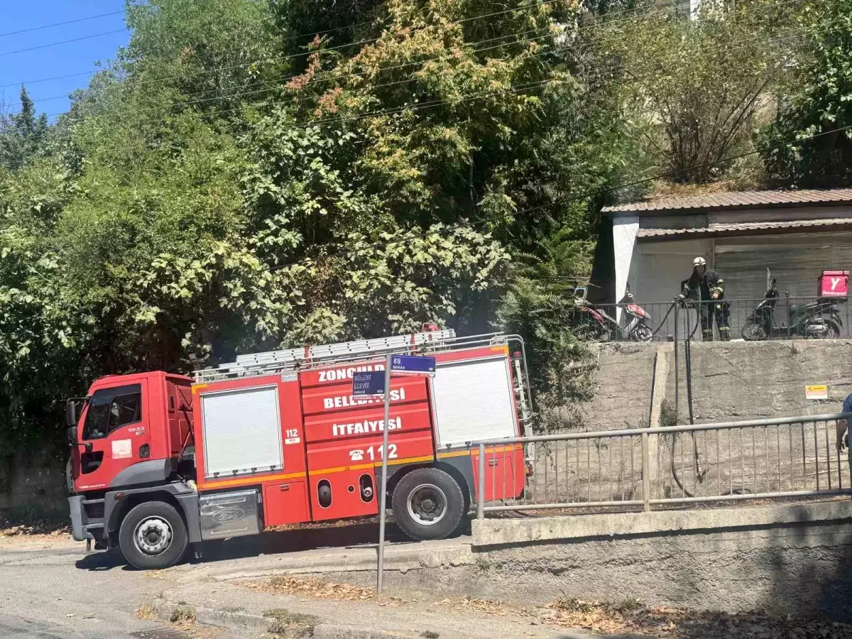 zonguldaktaki-orman-yangini-buyumeden-sonduruldu-ECuw3KmT.jpg