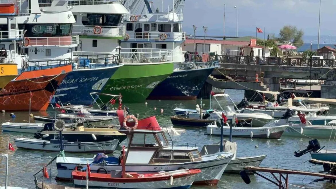 akcakoca-balikcilari-yeni-doneme-umutsuz-basladi-8WcMcCj7.jpg