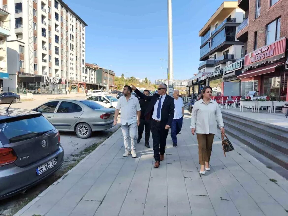 duzcede-korsan-emlakcilara-karsi-saha-calismasi-haKi2FiU.jpg