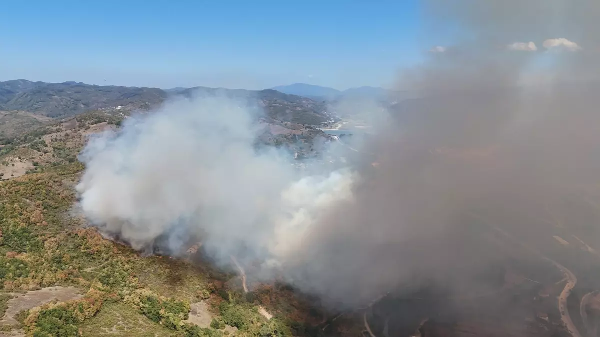 duzcede-orman-yangini-2-GTbVUE4a.jpg