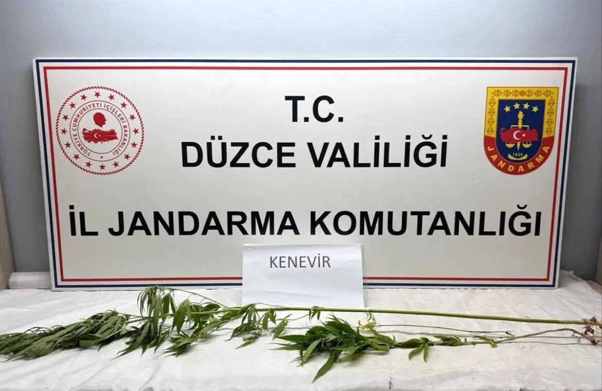 duzcede-uyusturucu-operasyonu-kubar-esrar-ve-kenevir-ele-gecirildi-ZS26MODQ.jpg